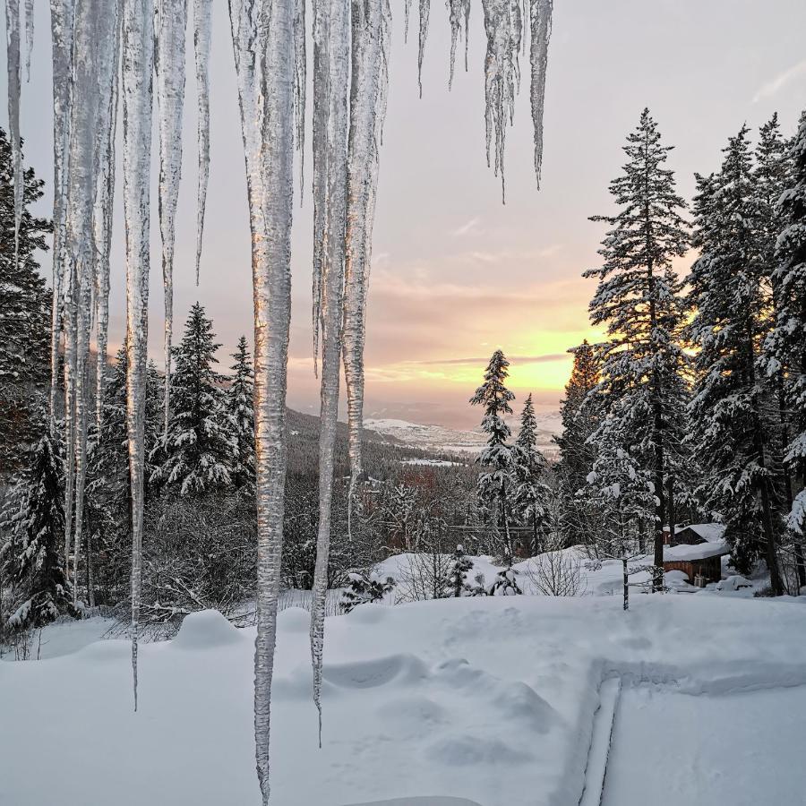 Spirit Lodge At Silverstar Vernon Zewnętrze zdjęcie